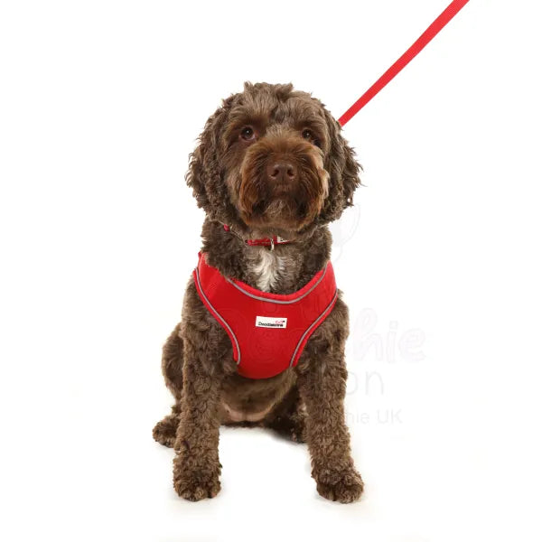 Doodlebone Originals Snappy Dog Harness - Ruby Red - Doodlebone - 3