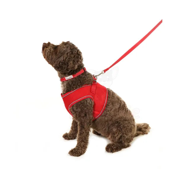 Doodlebone Originals Snappy Dog Harness - Ruby Red - Doodlebone - 5