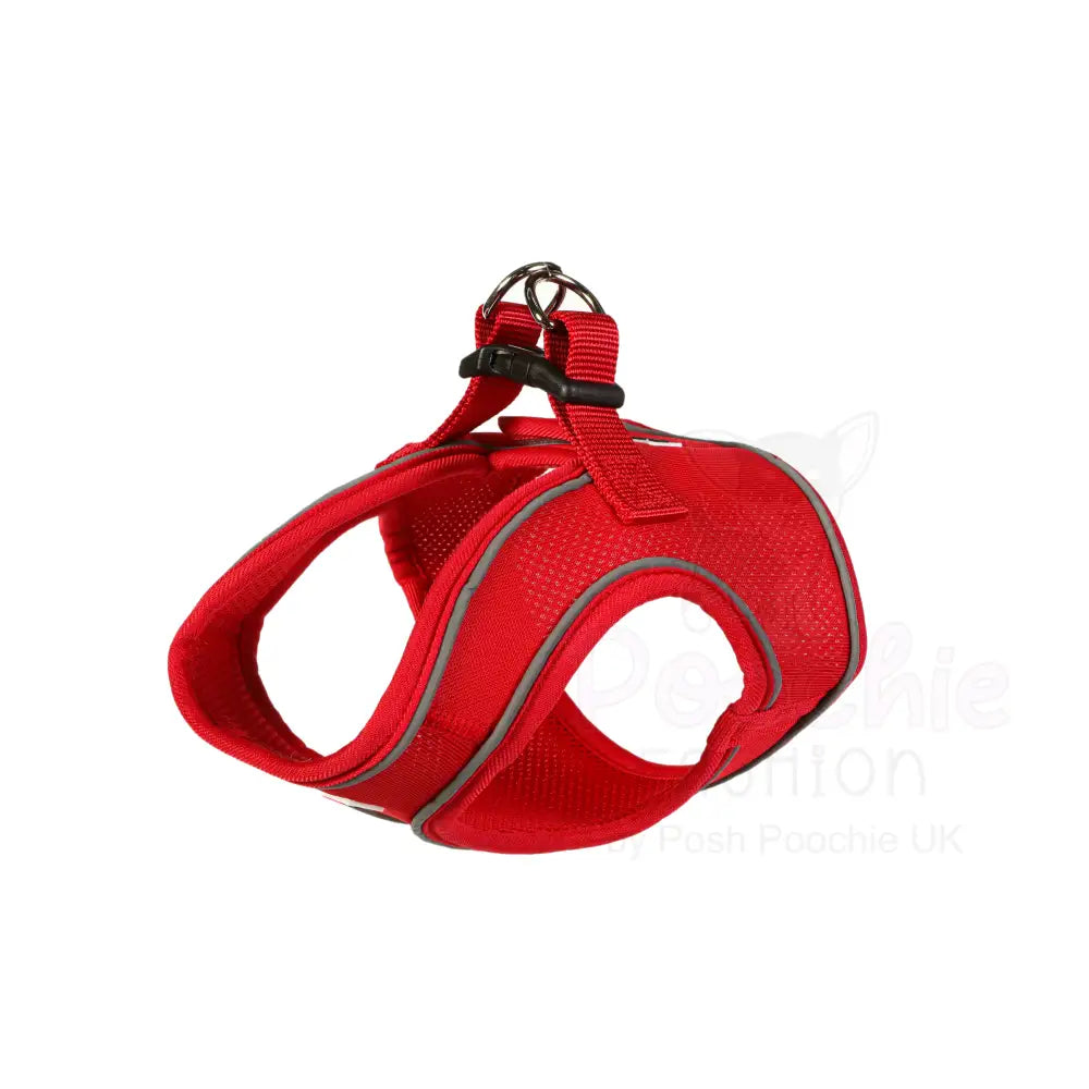 Doodlebone Originals Snappy Dog Harness - Ruby Red - Doodlebone - 6