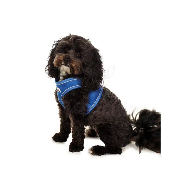 Doodlebone Originals Snappy Dog Harness - Sapphire Blue - Doodlebone - 4