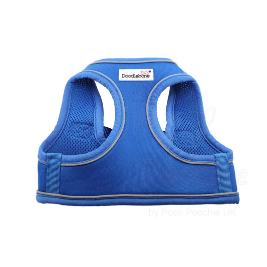 Doodlebone Originals Snappy Dog Harness - Sapphire Blue - Doodlebone - 2