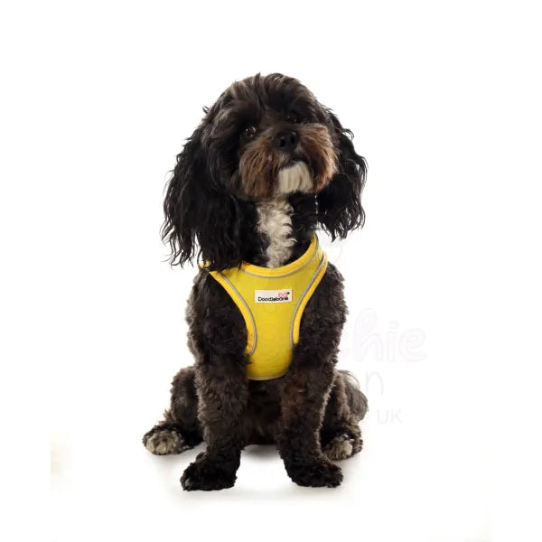 Doodlebone Originals Snappy Dog Harness - Sunshine Yellow - Doodlebone - 5