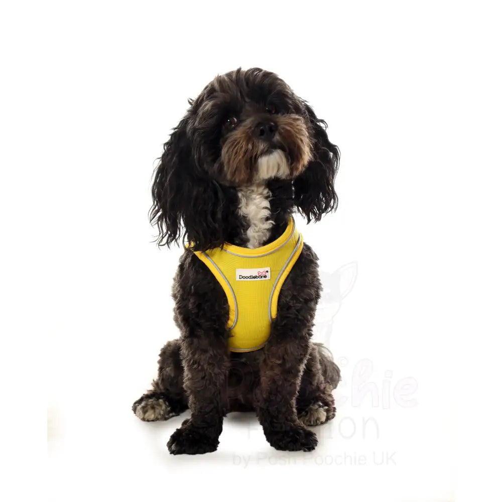 Doodlebone Originals Snappy Dog Harness - Sunshine Yellow - Doodlebone - 5
