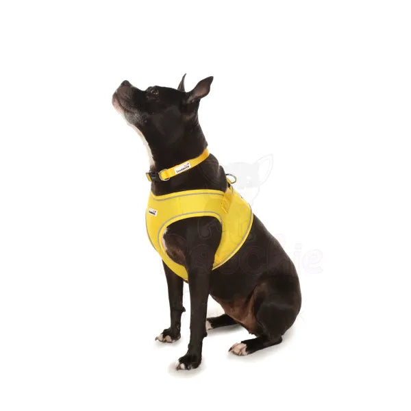 Doodlebone Originals Snappy Dog Harness - Sunshine Yellow - Doodlebone - 4