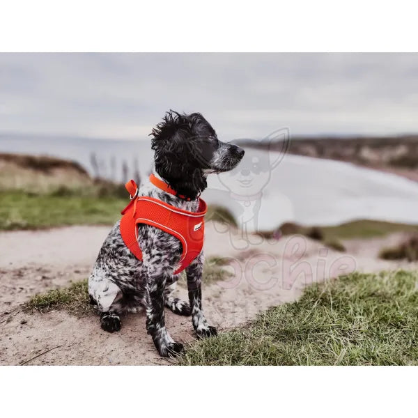 Doodlebone Originals Snappy Dog Harness - Tangerine Orange - Doodlebone - 5
