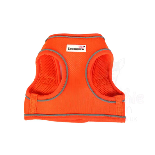 Doodlebone Originals Snappy Dog Harness - Tangerine Orange - Doodlebone - 2