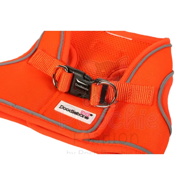 Doodlebone Originals Snappy Dog Harness - Tangerine Orange - Doodlebone - 3