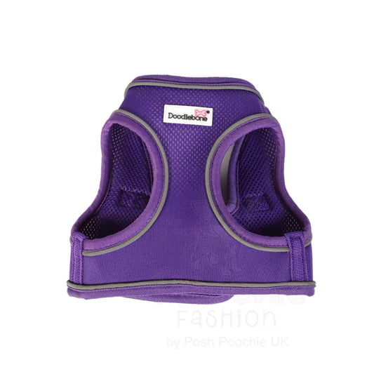 Doodlebone Originals Snappy Dog Harness - Violet Purple - Doodlebone - 2