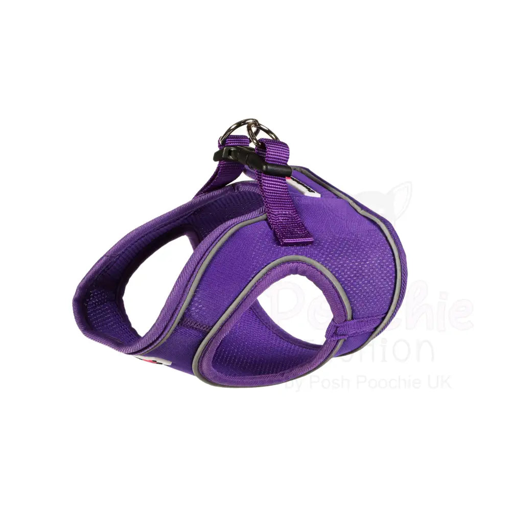 Doodlebone Originals Snappy Dog Harness - Violet Purple - Doodlebone - 6