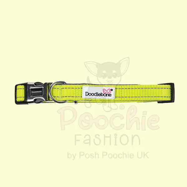 Doodlebone Padded Dog Collar - Citrus - Doodle - 2