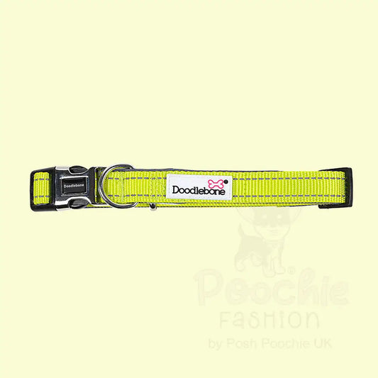 Doodlebone Padded Dog Collar - Citrus - Doodle - 2