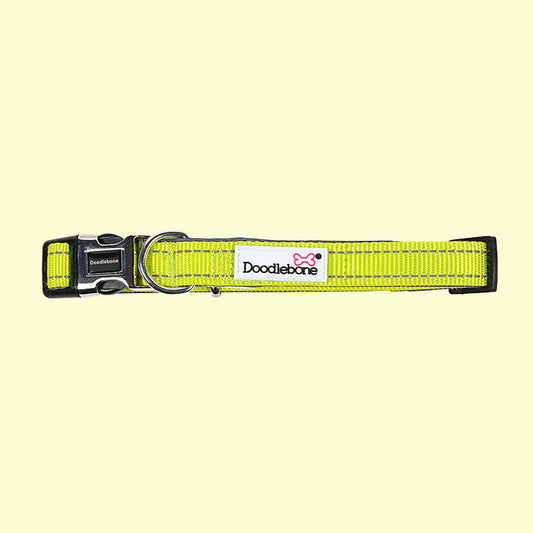 Doodlebone Padded Dog Collar - Citrus - Doodle - 2