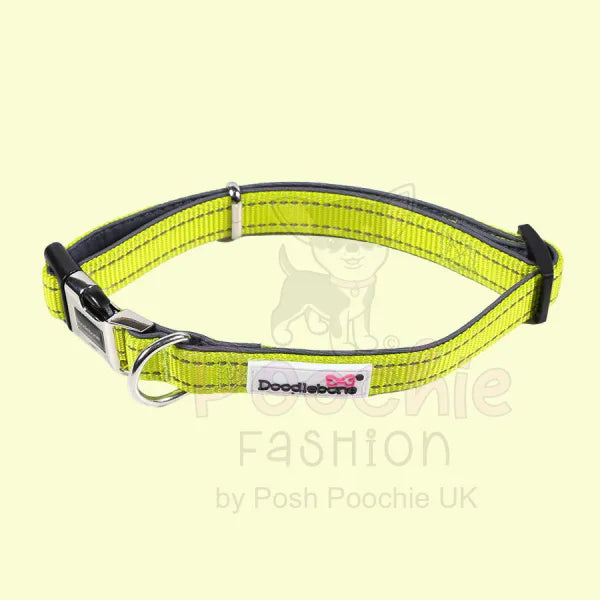 Doodlebone Padded Dog Collar - Citrus - Doodle - 3