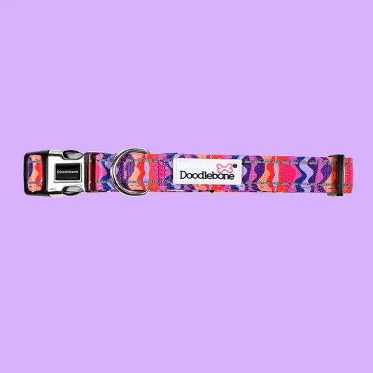 Doodlebone Padded Dog Collar - Dunes - Doodlebone - 2