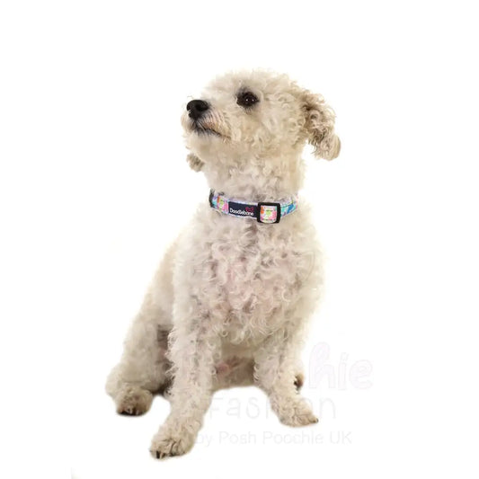 Doodlebone Padded Dog Collar - Pastel Paint Splat - Doodlebone - 2