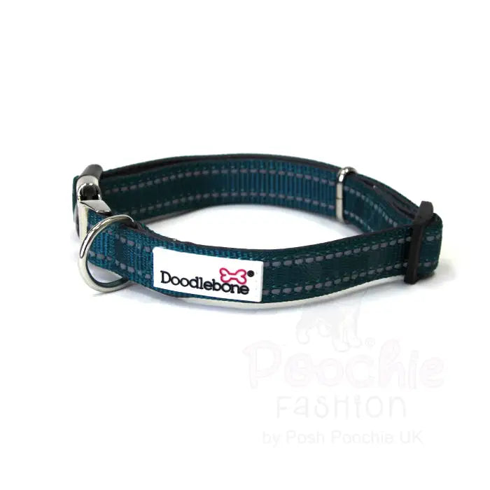 Doodlebone Padded Dog Collar - Teal - Doodle - 2