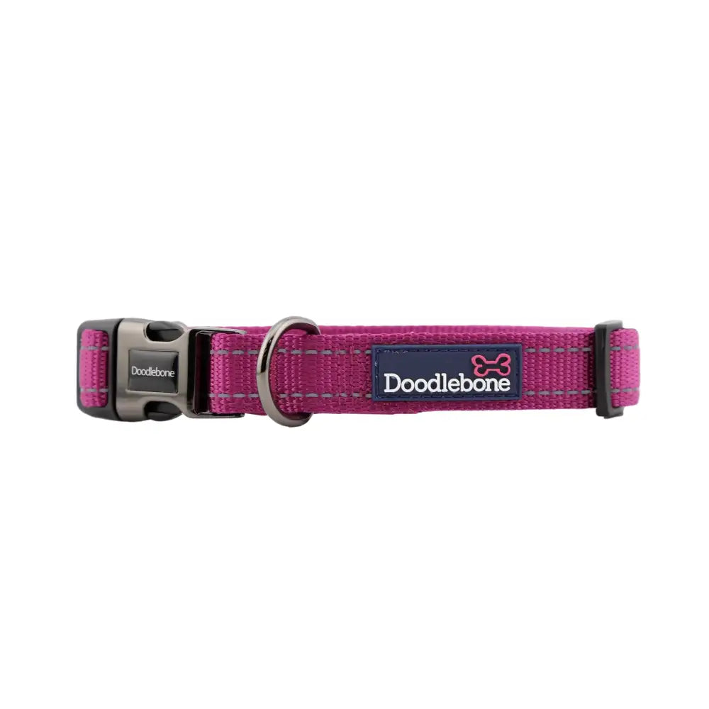 Doodlebone Padded Dog Collar - Thistle - Doodlebone - 3
