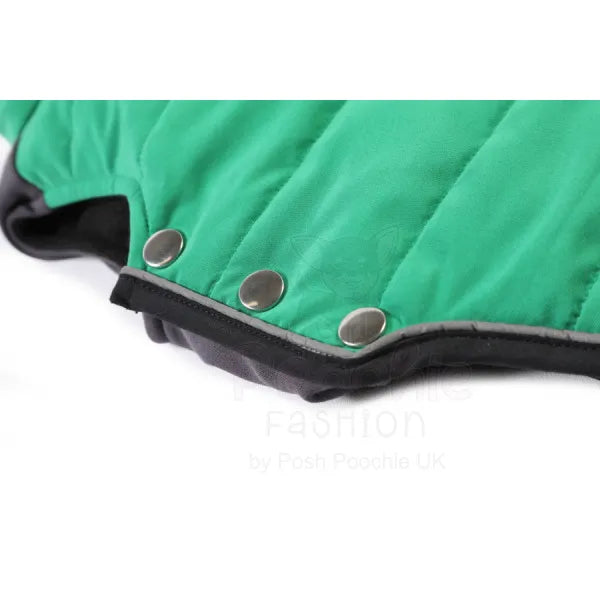 Doodlebone Puffer Dog Jacket in Forest Green - Doodle - 3