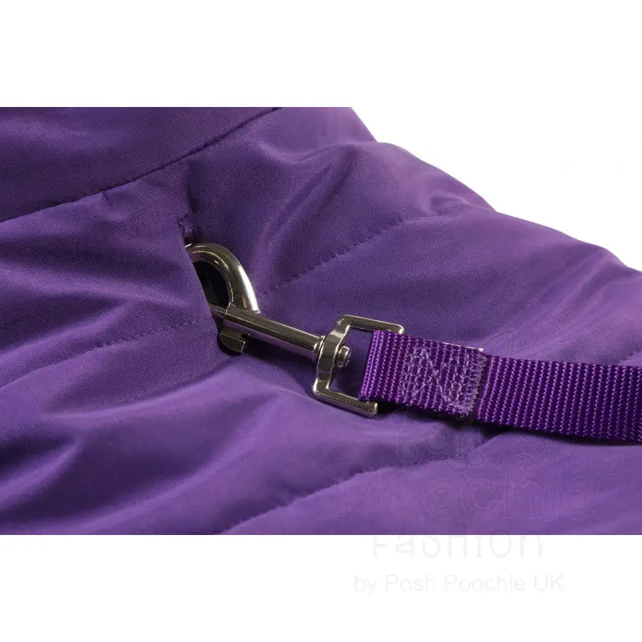Doodlebone Puffer Dog Jacket in Violet - Doodlebone - 4