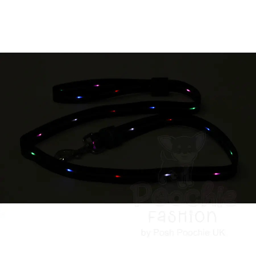 Doodlebone Rechargeable Light-up Dog Lead Black - Doodlebone - 9