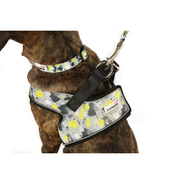 Doodlebone Snappy Dog Harness - Neon Paint Splat - Doodlebone - 4