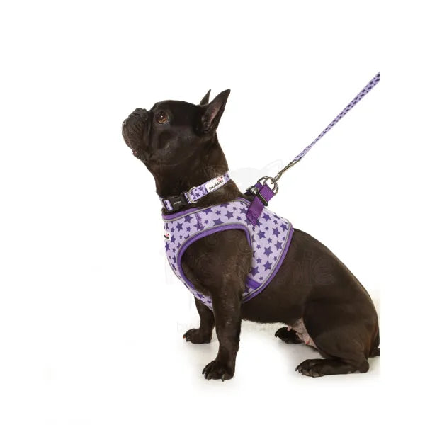 Doodlebone Snappy Dog Harness - Violet Stars - Doodlebone - 4