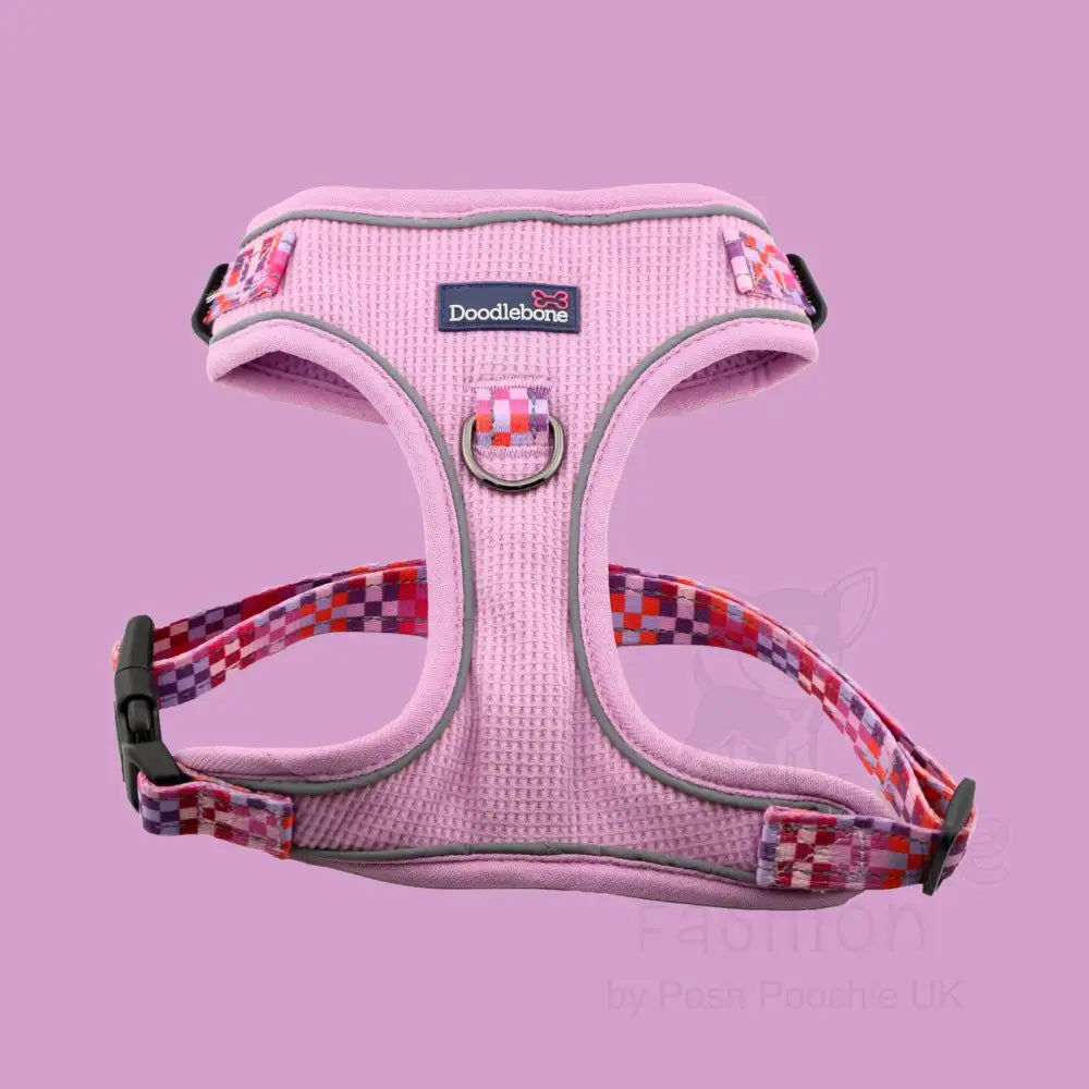 Doodlebone Stomp Dog Harness - Blush Checkmate - Doodlebone - 10