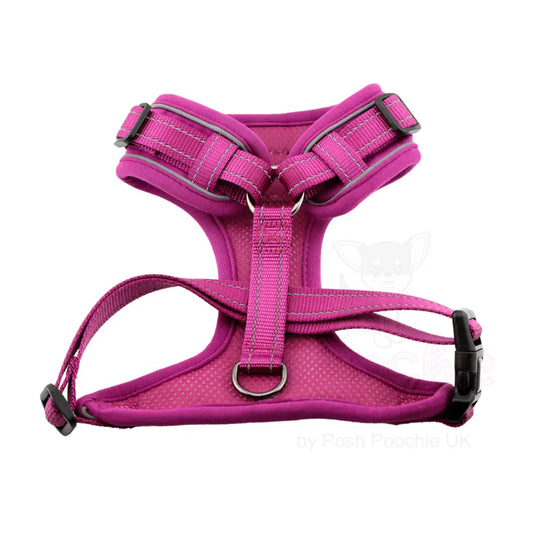 Doodlebone Stomp Dog Harness - Thistle - Doodlebone - 2