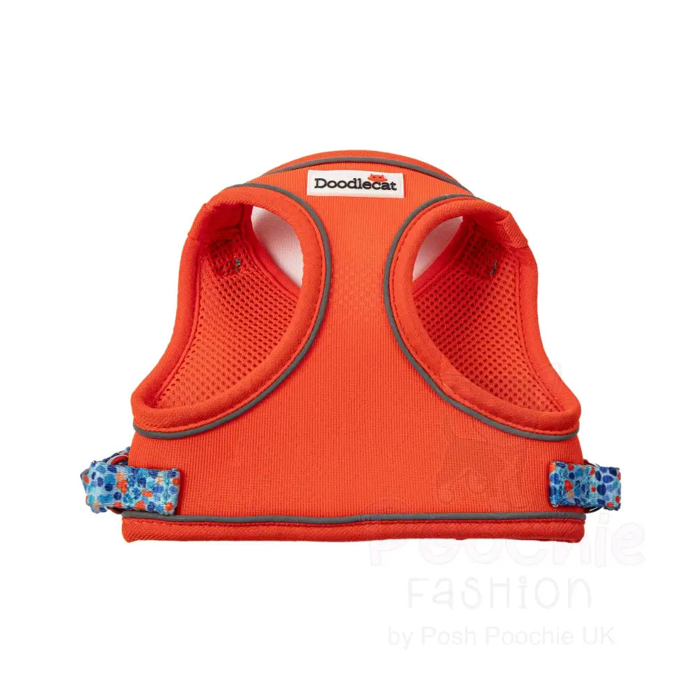 Doodlecat Cat Roaming Harness & Lead Set Tangerine & Reef - Doodlebone - 4