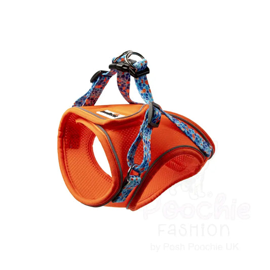 Doodlecat Cat Roaming Harness & Lead Set Tangerine & Reef - Doodlebone - 2