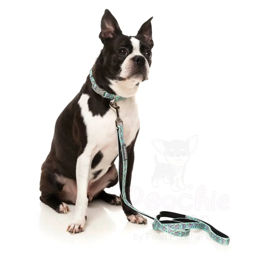 Dreamtime Koalas Dog Collar by Fuzzyard - Fuzzyard - 2