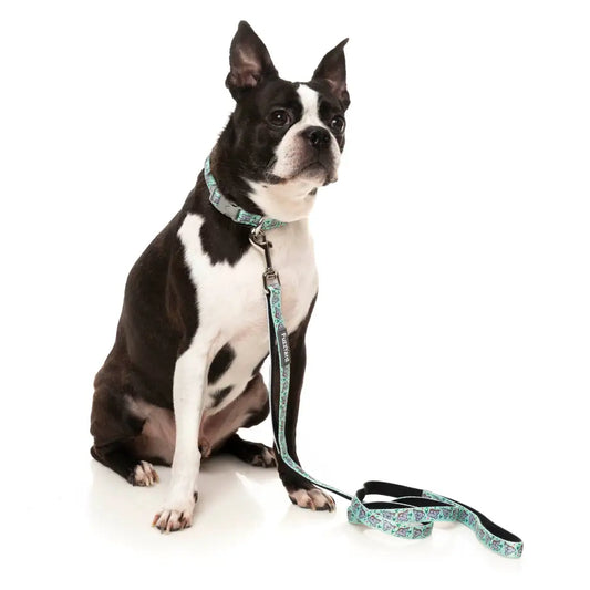 Dreamtime Koalas Dog Collar by Fuzzyard - Fuzzyard - 2