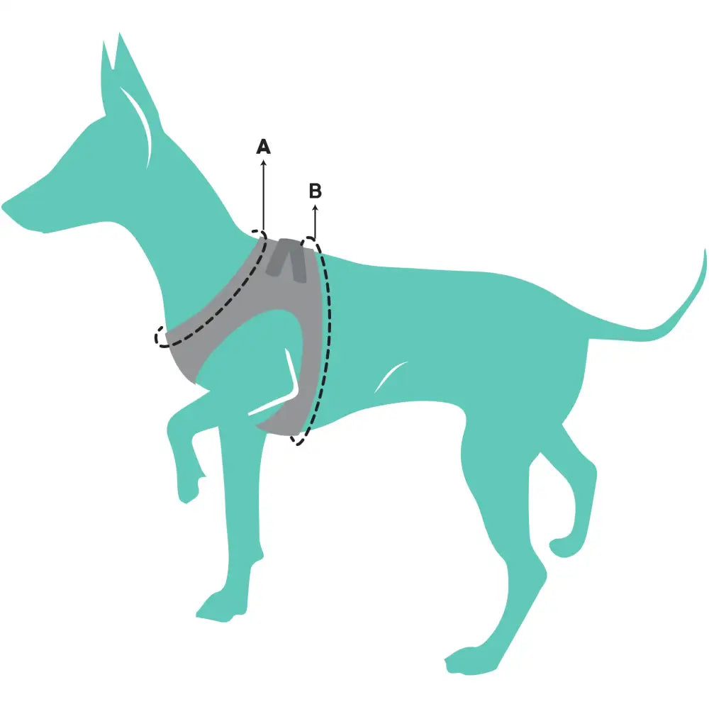Dreamtime Koalas Step in Dog Harness by Fuzzyard - Fuzzyard - 5
