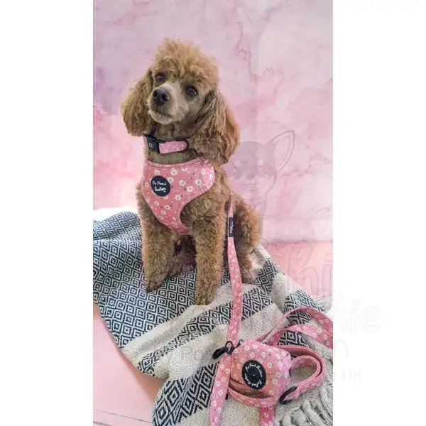 Dusky Pink Daisies Dog Collar - Pet Pooch - 4