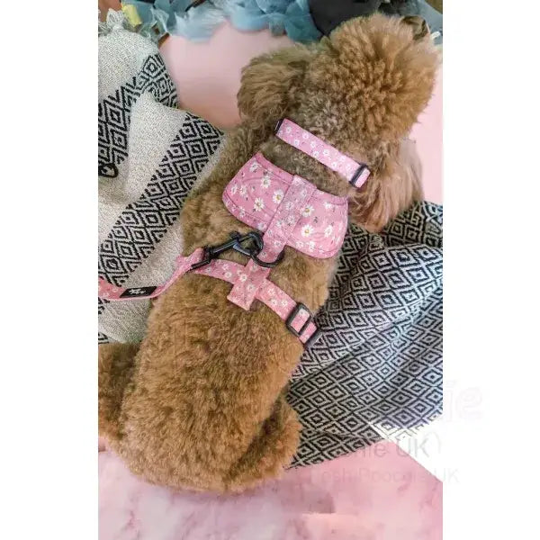 Dusky Pink Daisies Dog Collar - Pet Pooch - 2