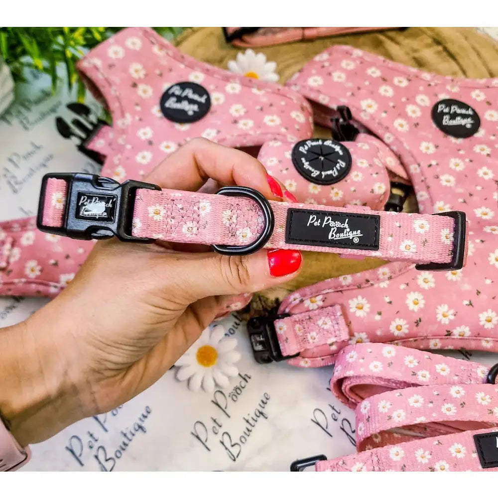 Dusky Pink Daisies Dog Collar - Pet Pooch - 1
