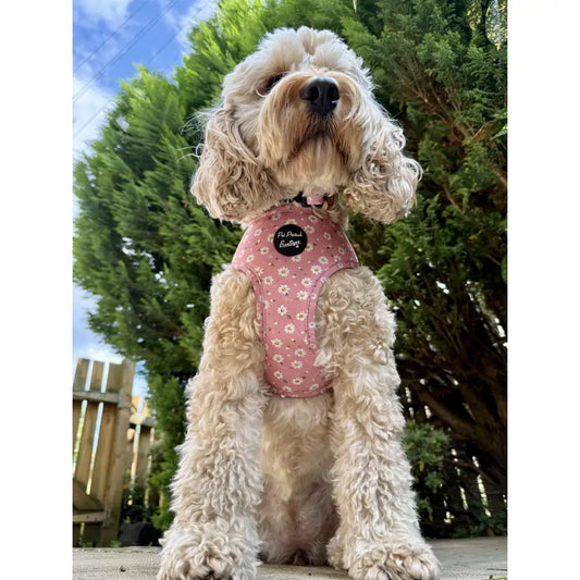 Dusky Pink Daisies Dog Harness - Pet Pooch - 2