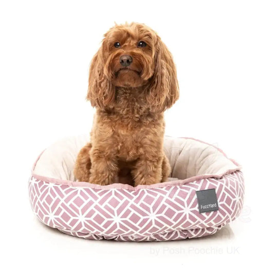 Edessa Reversible Dog Bed by Fuzzyard - Fuzzyard - 2