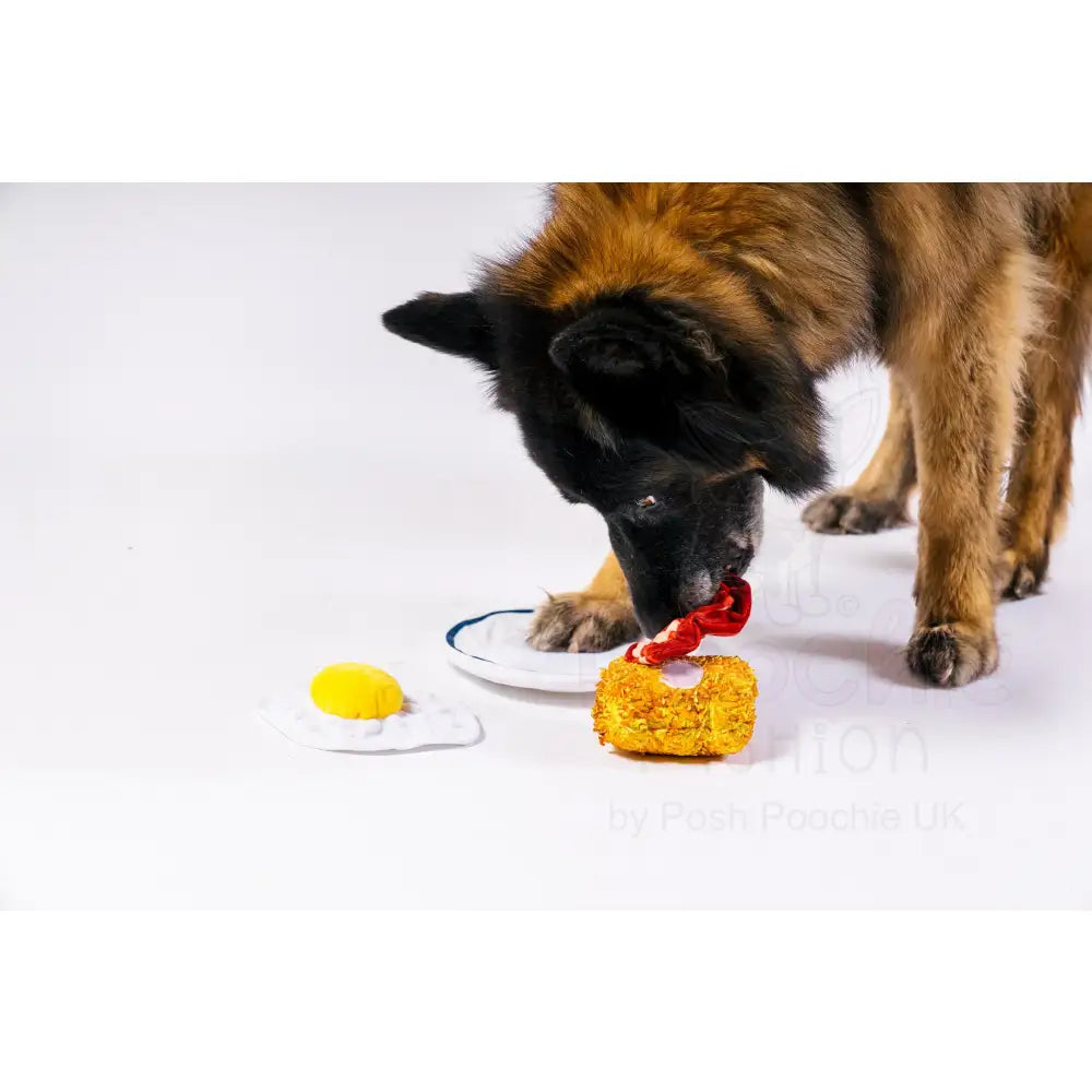 Eggcellent Play Platter Dog Toy by P.l.a.y - P.l.a.y - 4