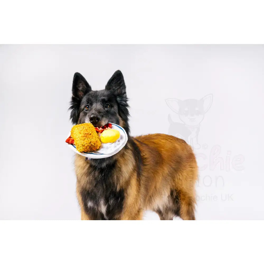 Eggcellent Play Platter Dog Toy by P.l.a.y - P.l.a.y - 3