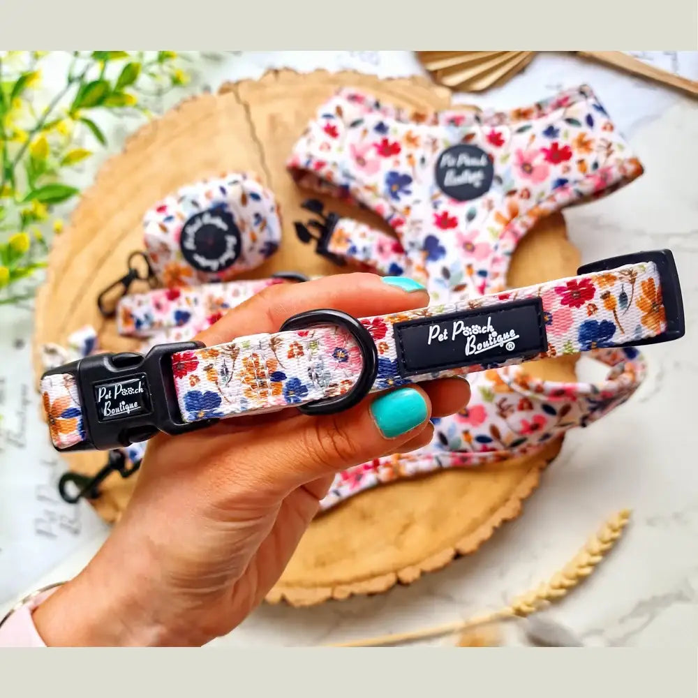 Enchanted Meadow Floral Dog Collar - Pet Pooch - 1