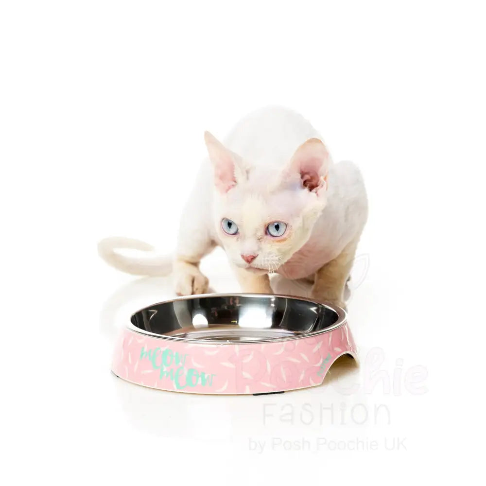 Featherstorm Cat Bowl by Fuzzyard - Fuzzyard - 2