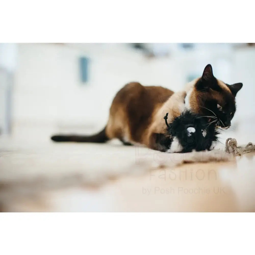 Feline Frenzy Frisky Furball Cat Toy - P.l.a.y - 4