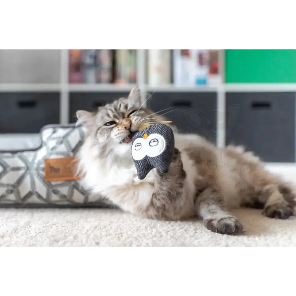 Feline Frenzy Hooti-ful Owls Cat Toy Pack of 2 - P.l.a.y - 3