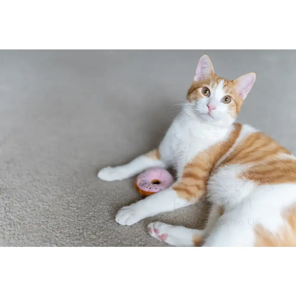 Feline Frenzy Kitty Kreme Donuts Cat Toy Pack of 3 - P.l.a.y - 3