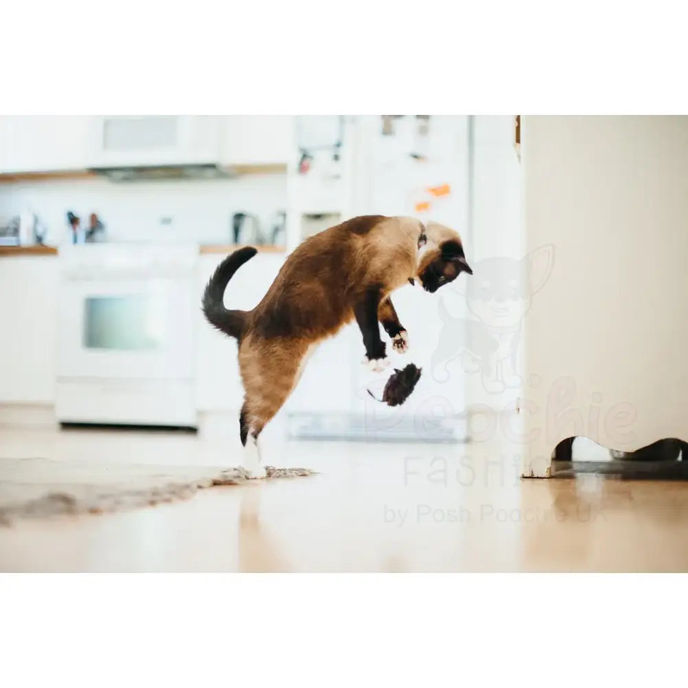 Feline Frenzy Mice Cat Toy Pack of 2 - P.l.a.y - 3