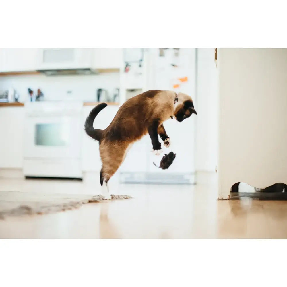 Feline Frenzy Mice Cat Toy Pack of 2 - P.l.a.y - 3