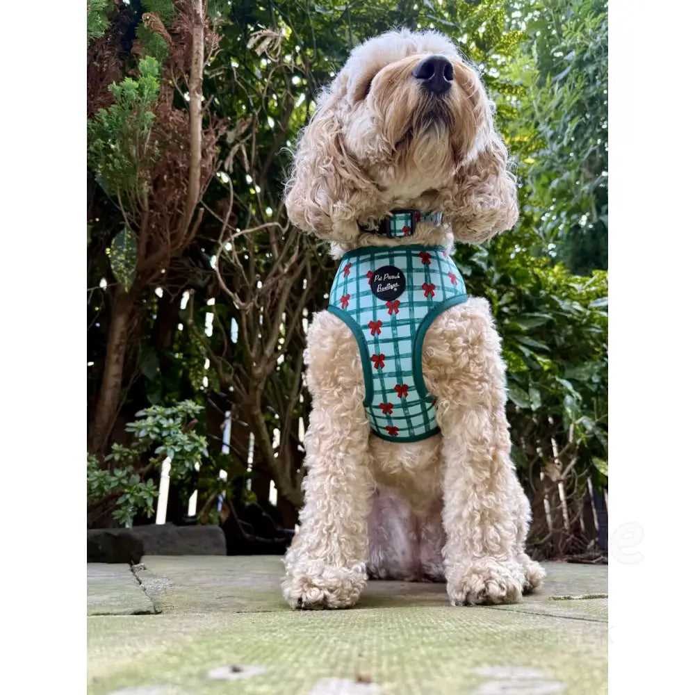 Festive Plaid Bow Dog Harness - Pet Pooch - 3