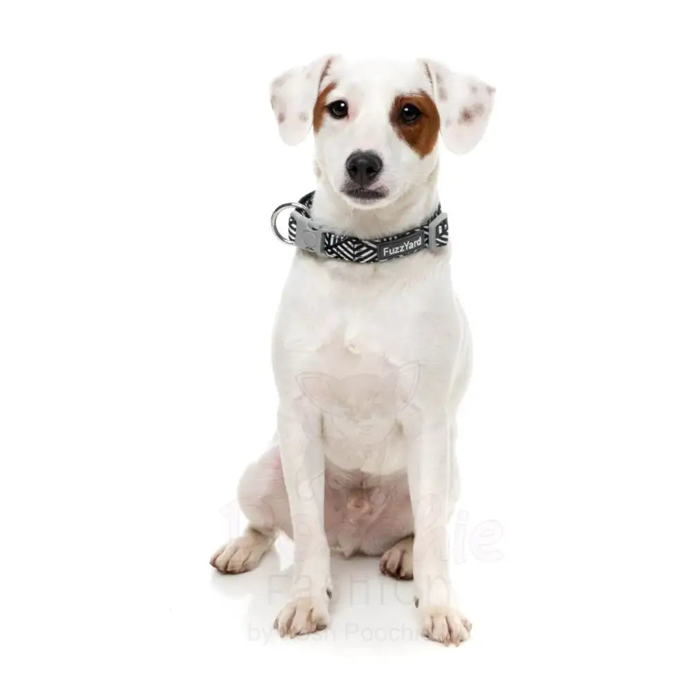 Fitzroy Dog Collar by Fuzzyard - Fuzzyard - 2