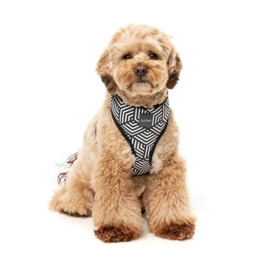 Fitzroy Dog Harness by Fuzzyard - Fuzzyard - 2